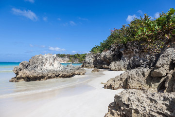 Fototapeta na wymiar Beach landscape with rocks, white sand and trees, Macao beach, Dominican republic 