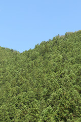 Okutama Mukashi Michi Hike - Japan