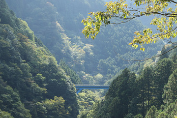 Okutama Mukashi Michi Hike - Japan