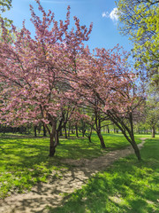South Park in city of Sofia, Bulgaria