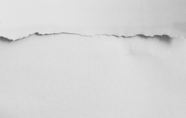 pieces of torn paper texture background, copy space for text.