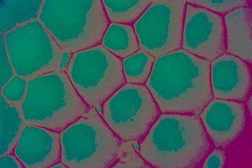 Abstract holes which looks like honey comb shape chemistry