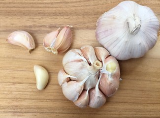 garlic