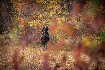 Obraz premium Beautiful Smiling Girl Jockey Stand Next To Her Brown Horse Wearing Special