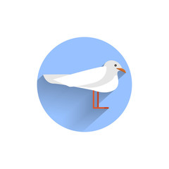 seagull colorful flat icon with shadow. sea flat icon