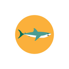 Naklejka na ściany i meble shark colorful flat icon with shadow. shark flat icon