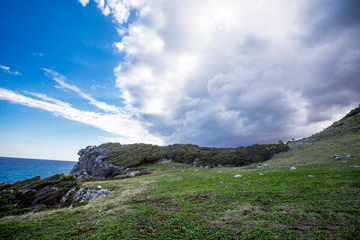 Meadow sea sky cliff landscape at Caribbean coast with green forest  rocks and dramatic clouds in Dominican republic