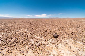 Atacama Desert is maybe the best place in the world to found meteorites on the ground. Going with a...