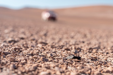 Atacama Desert is maybe the best place in the world to found meteorites on the ground. Going with a...
