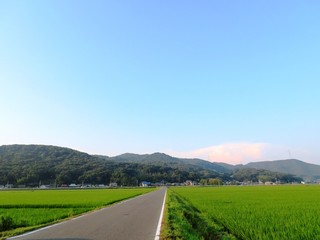 Fototapeta na wymiar 日本の田舎の風景　8月　田舎道