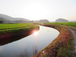 日本の田舎の風景　8月　川辺の夕景