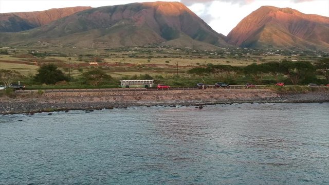 Humpback whales breach right off of honoapiilani hwy on the west side of Maui, Hawaii