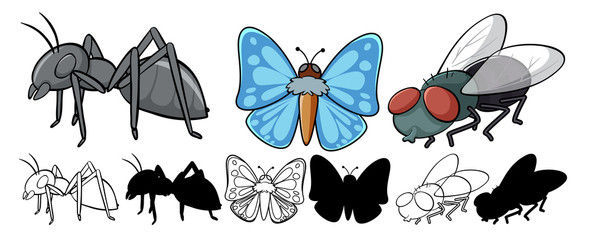 Set of insect cartoon © GraphicsRF