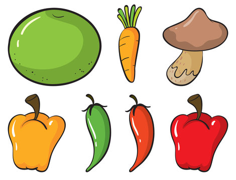 Large set of fruits and vegetables on white background