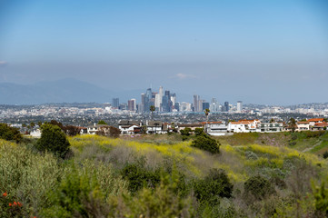 Fototapeta na wymiar LA Skyline