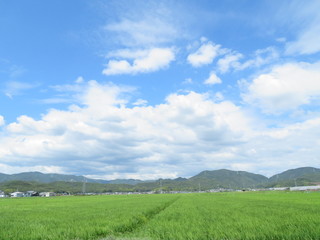 日本の田舎の風景　8月　夏の青空と雲と田舎