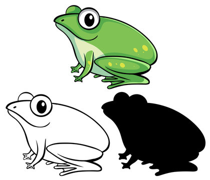 Set of frog cartoon