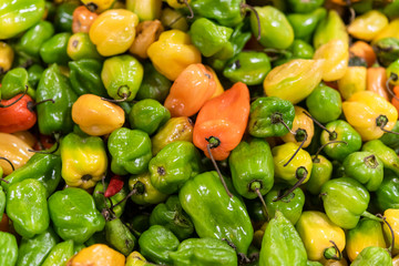 Texture of raw habanero peppers in the market. Green, orange and yellow peppers