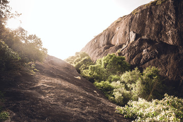 rock in the mountains