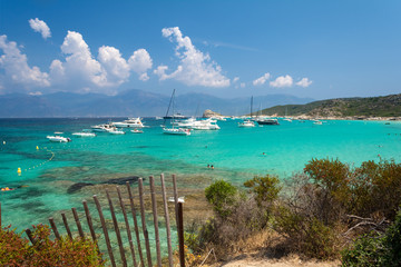 Mer paradisiaque , voiliers et yachts à la plage du Lotu en Corse
