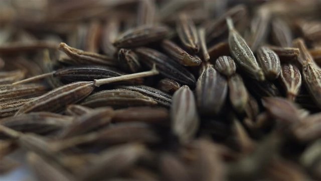 cumin spice seeds are poured from top to bottom. Extreme close-up, real time, low depth of field