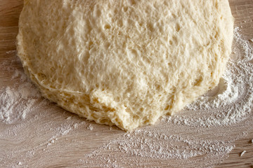 Beautiful porous structure of the approached yeast dough. Preparation of yeast dough for pastry and bread.