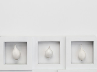 Three small squares in a straight line from below. Three onions. White frame on a white background.