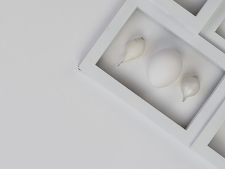 Rectangular white frame on the left. Two onions and one egg. On white background.