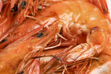 close up roasted prawn or grilled shrimp