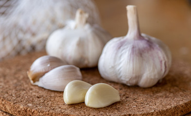 Garlic