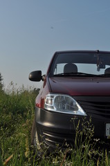 car in the field