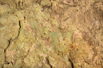 Stone wall for the backdrop. Laminated stone texture. Color - Straw and Pancho.