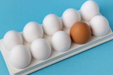 Eggs in a tray on a blue background.