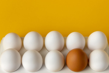 Tray of eggs on an orange background.
