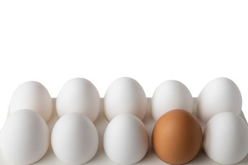 Egg tray isolated on a white background.