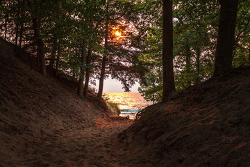 Sunset on Lake Michigan shot through the dunes and trees in Saugatuck Michigan