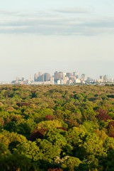 View of Boston, Massachusetts from distant woods