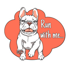Cute running french bulldog. Vector illustration