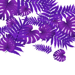  Vector tropical pattern