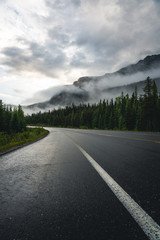 Naklejka premium road in the mountains with morning mist and fog after sunrise 