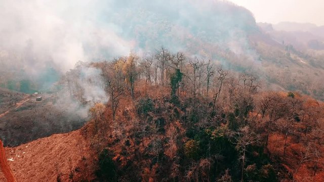 Global warming crisis. Slash and burn agriculture. Climate change, deforestation. Footage 4k
