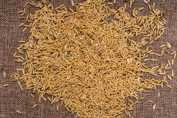 Rice grains on linen tablecloth