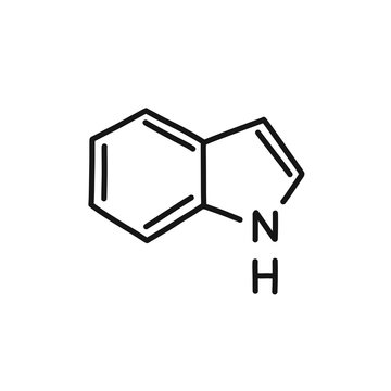indole chemical formula doodle icon, vector illustration