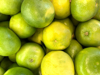 many many photos grapefruit on the counter supermarket