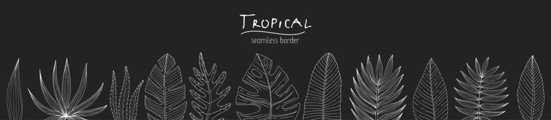 Seamless border from a set of tropical or forest leaves in black and white sketch style on black background, oval, palmate, paired, pinnate, ovoid type
