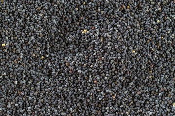 Poppy pattern seeds. Black poppyseed texture in top view. Pile food dark background. Vitamin snack breakfast, diet and healthy eating concept.