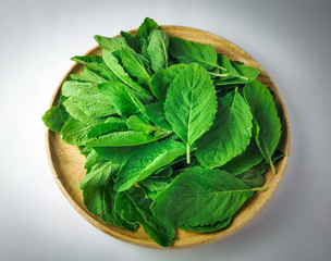 Fresh basil leaf in a wooden tray on soft ligth background
