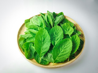 Fresh basil leaf in a wooden tray on soft ligth background