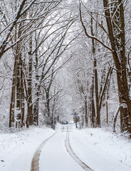 Springtime in Michigan with a surprise snow fall