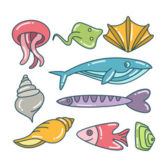 fish, marine and ocean life concept color theme